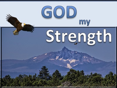 God, My Strength  (Study In God - All I Need-10)